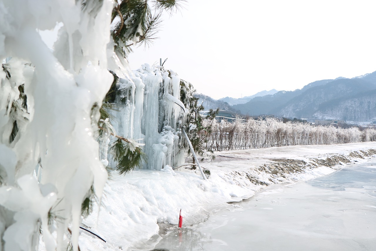 snow  winter  nature free photo