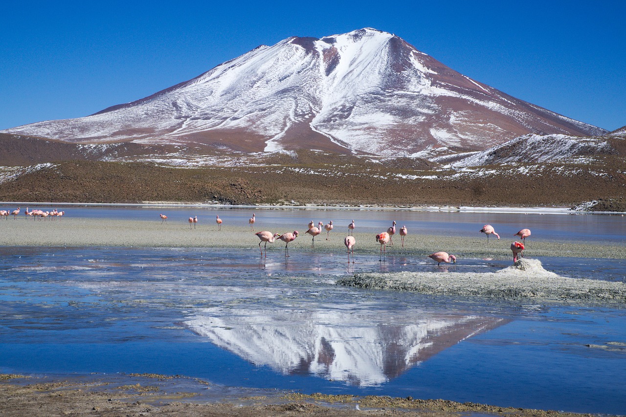 snow  mountain  body of water free photo