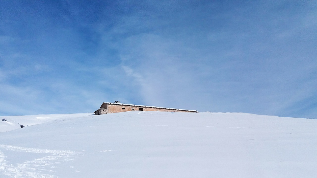 snow  winter  sky free photo