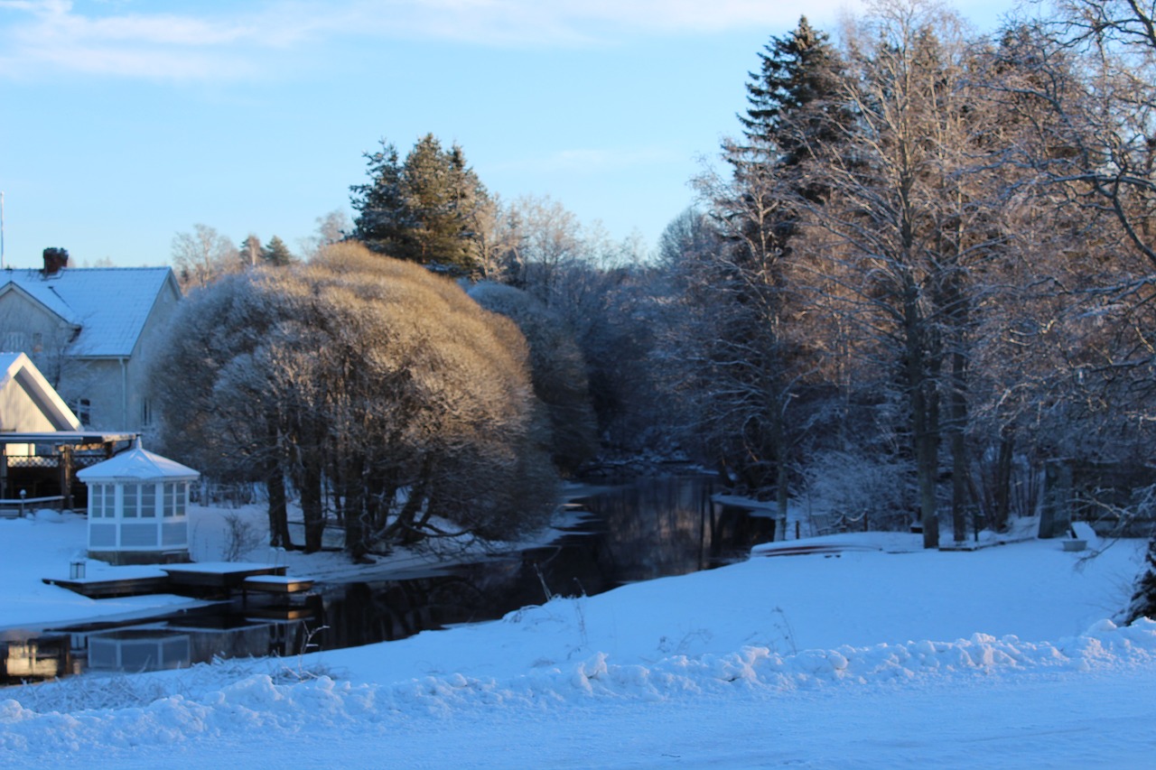 snow  winter  cold free photo