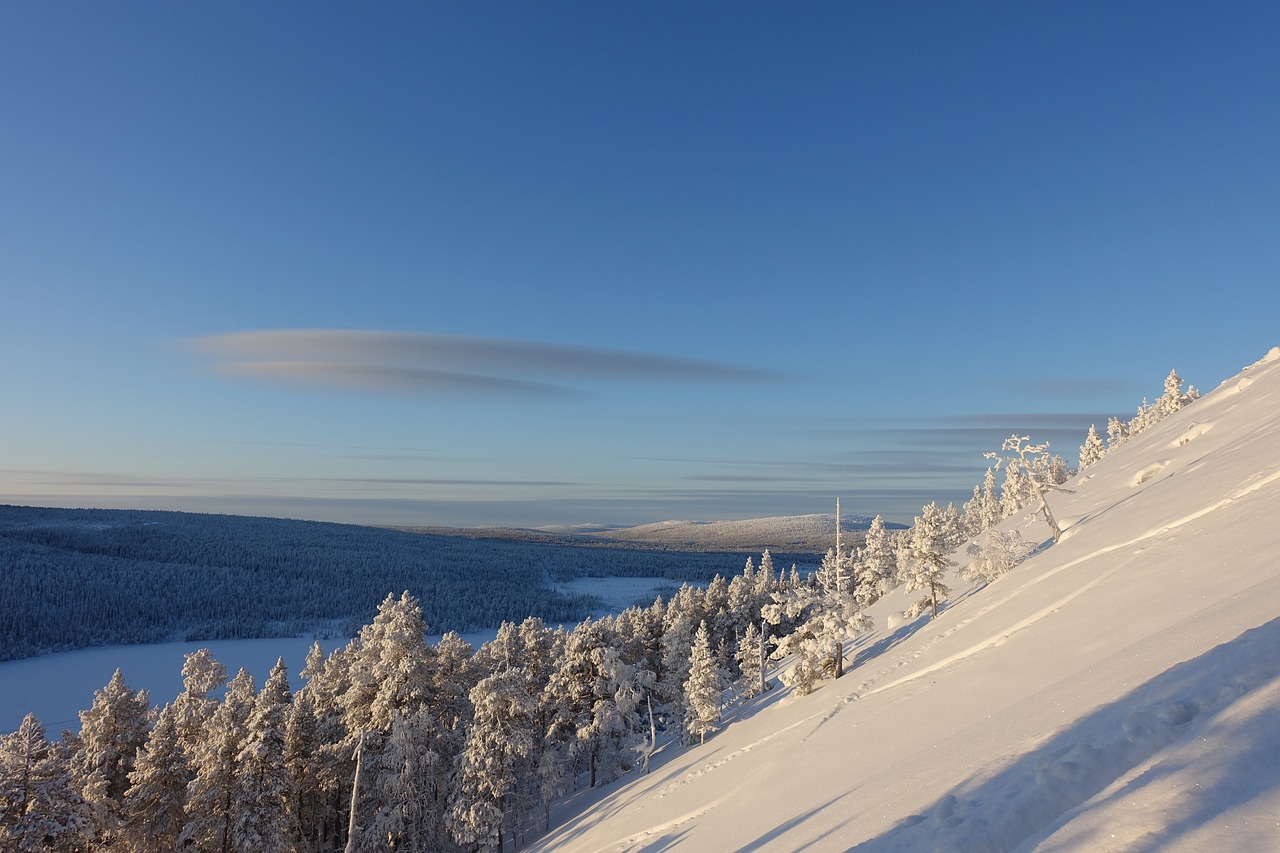 snow  landscape  winter free photo