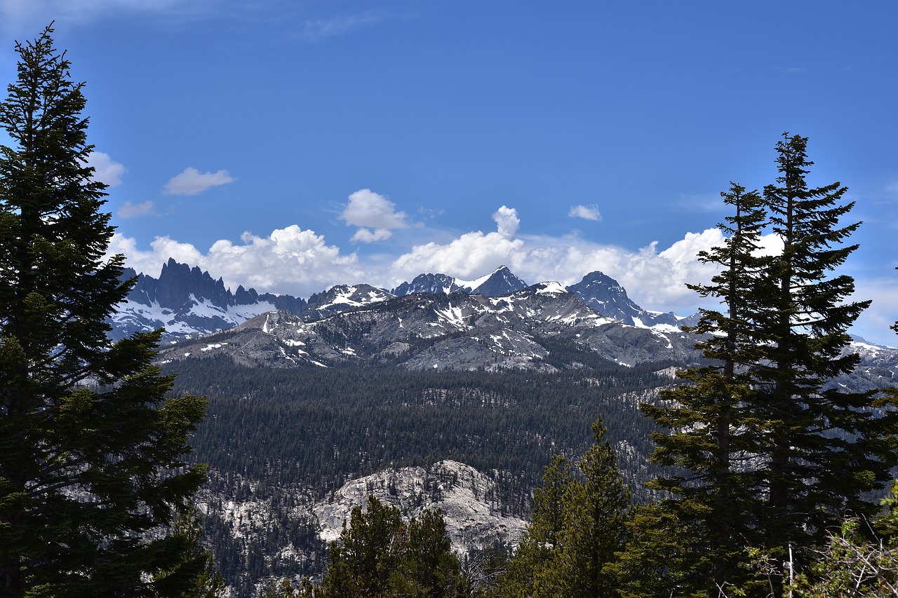 snow  mountain  forest free photo