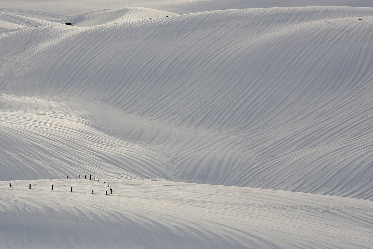 snow  winter  landscape free photo