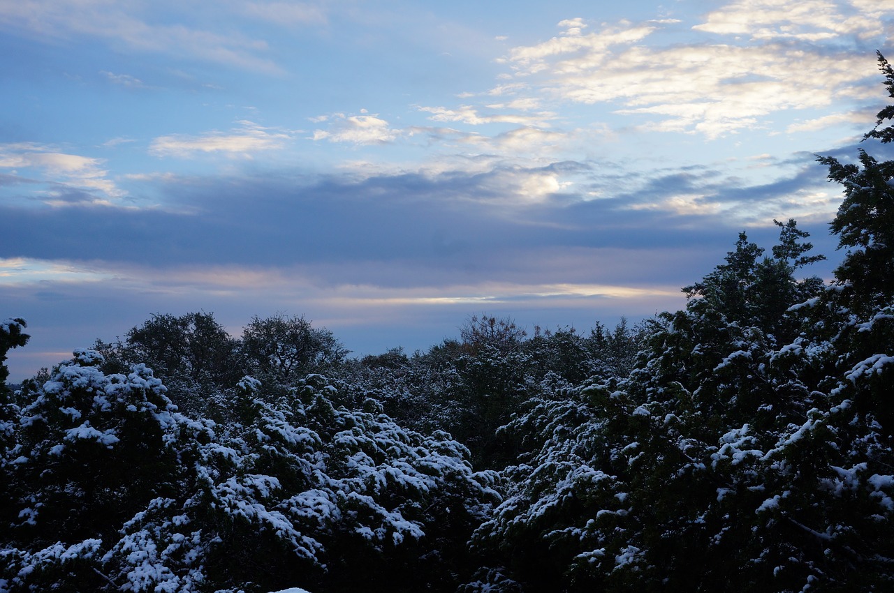 snow  dawn  scenic free photo