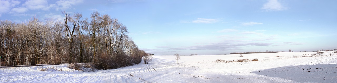 snow  landscape  winter free photo