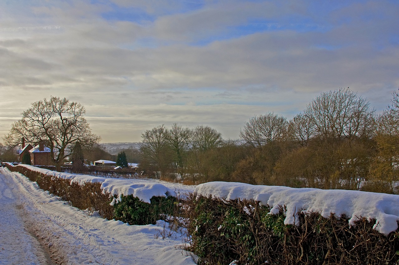 snow  landscape  winter free photo