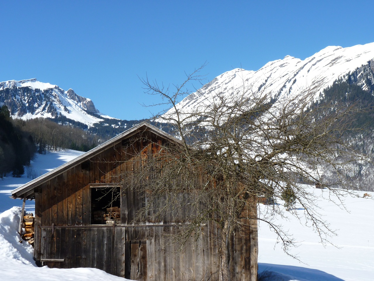 snow landscape scale free photo