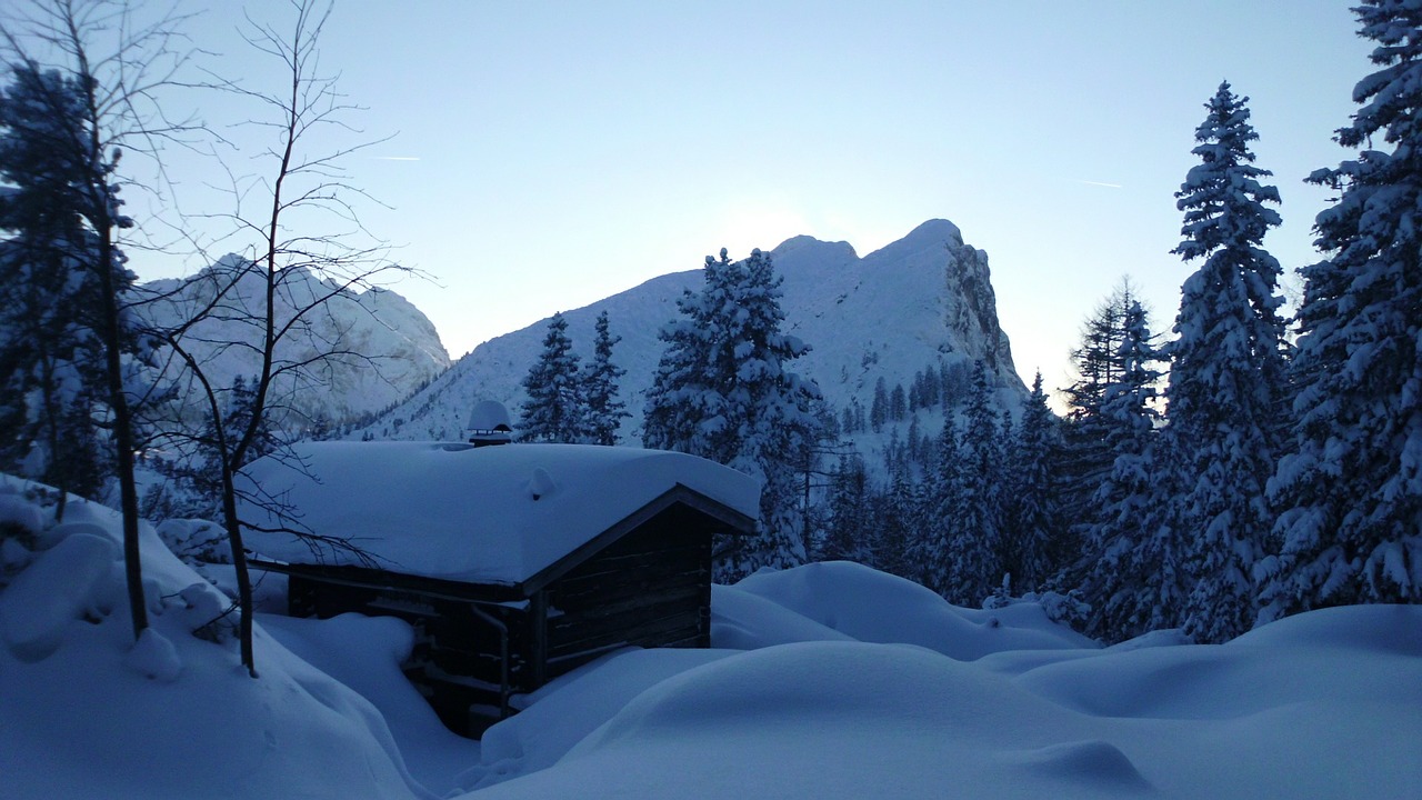 snow winter forest mountains free photo