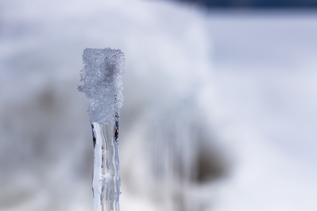 snow  ice  winter free photo