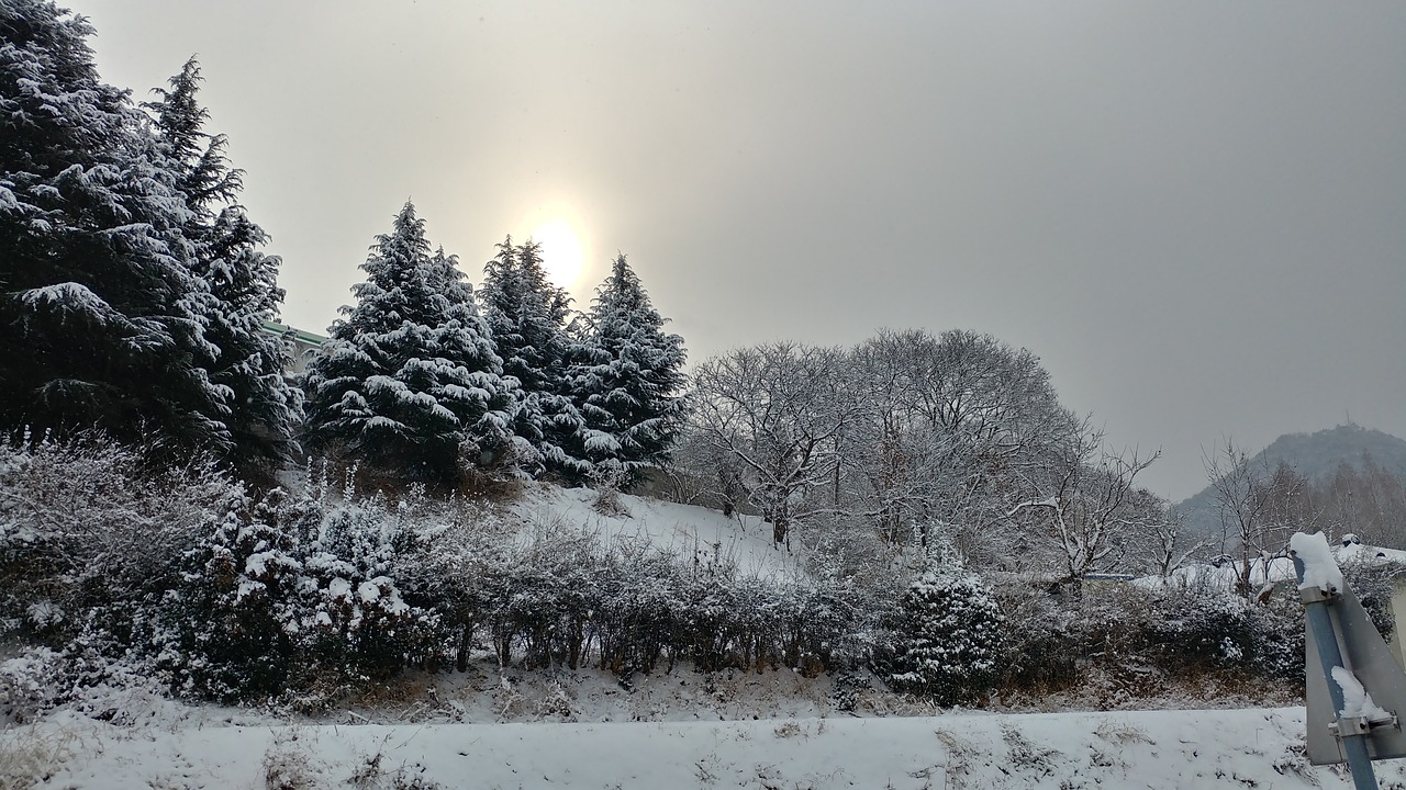 snow  sunrise  landscape free photo