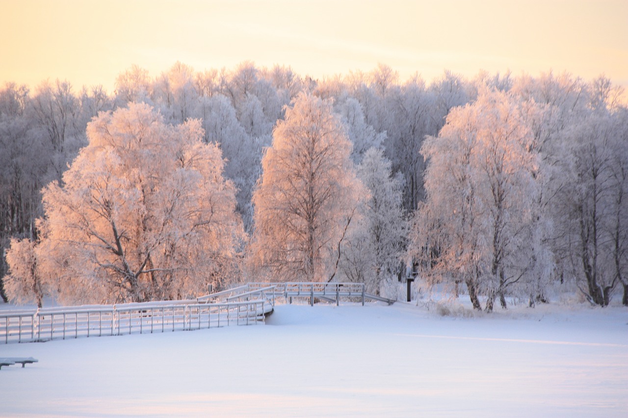 snow  lapland  winter free photo