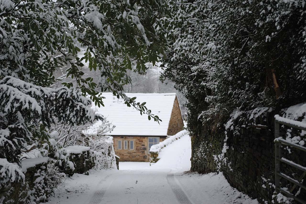 snow  winter  landscape free photo