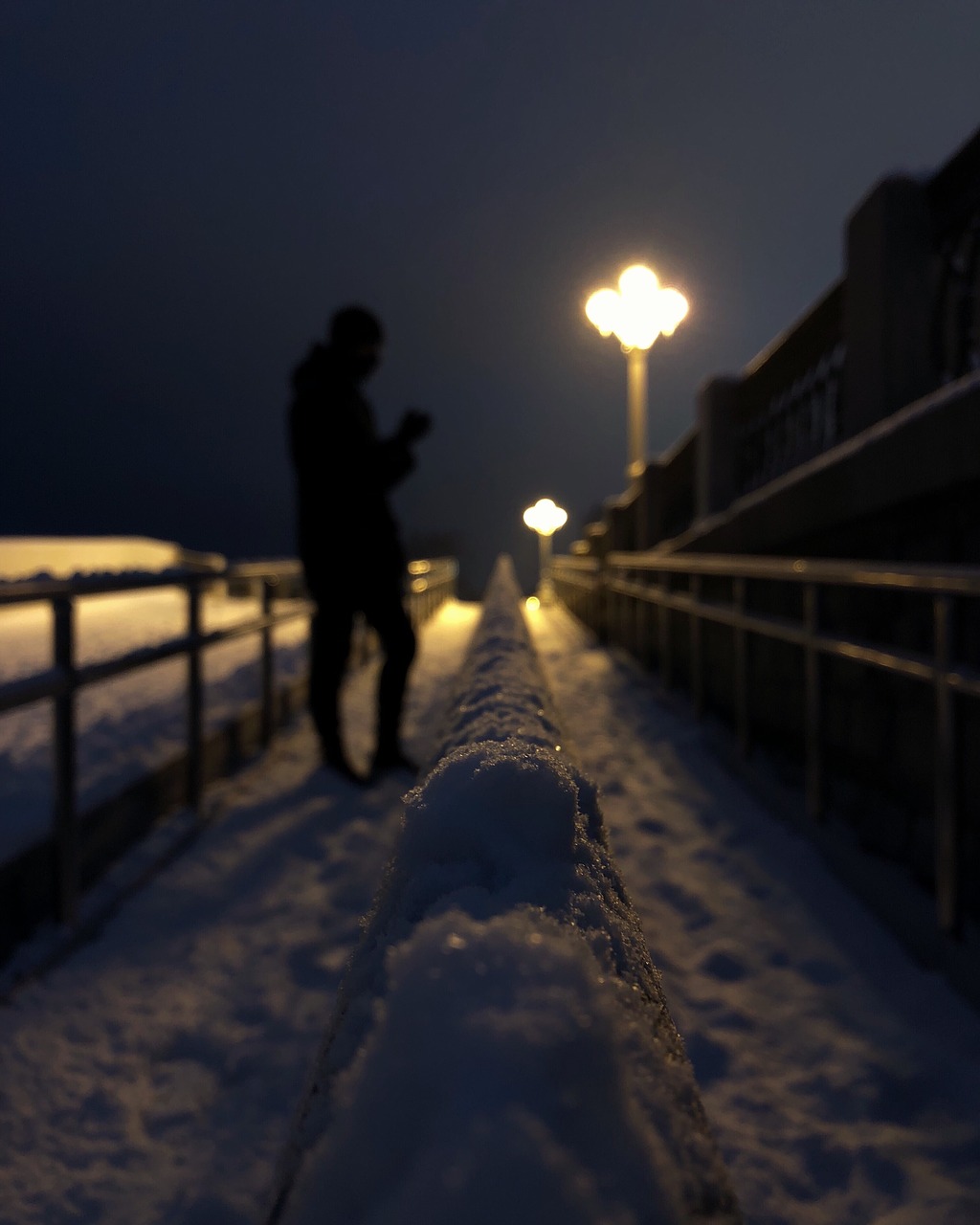 snow  winter  lantern free photo