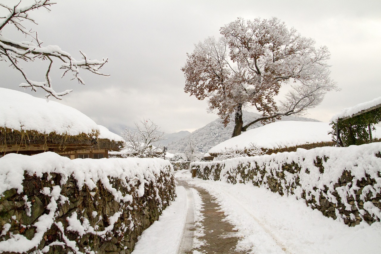 snow  winter  winter landscapes free photo