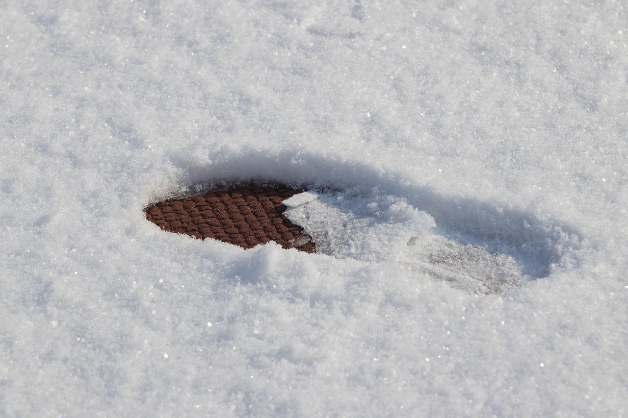 snow  winter  footprint free photo