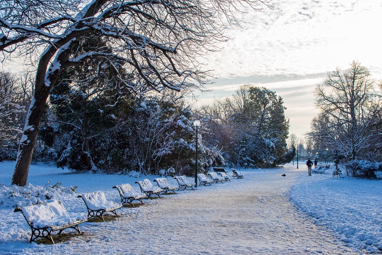 snow  paris  winter free photo