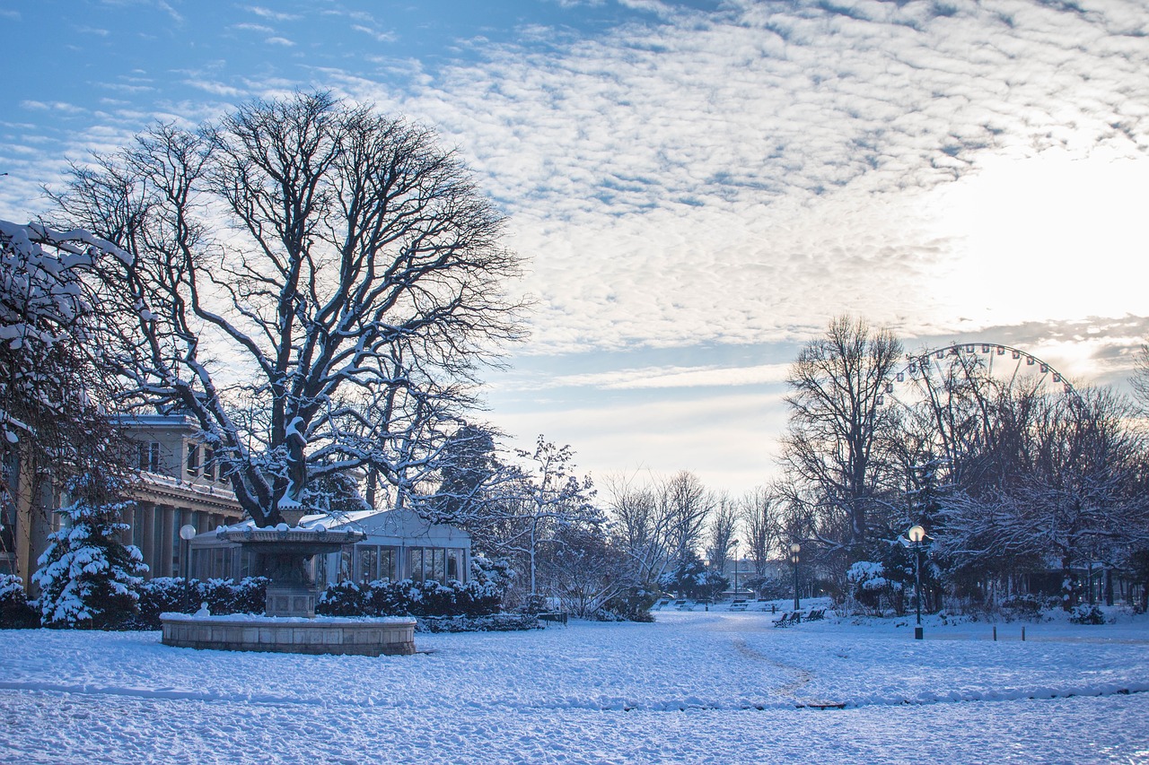 snow  cold  nature free photo