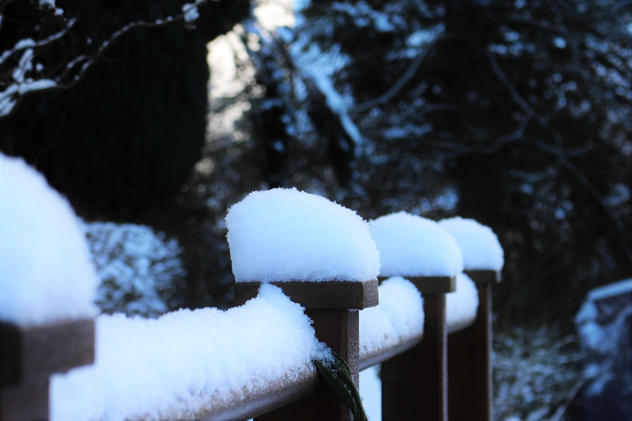 snow  snow cover  snow on railing free photo