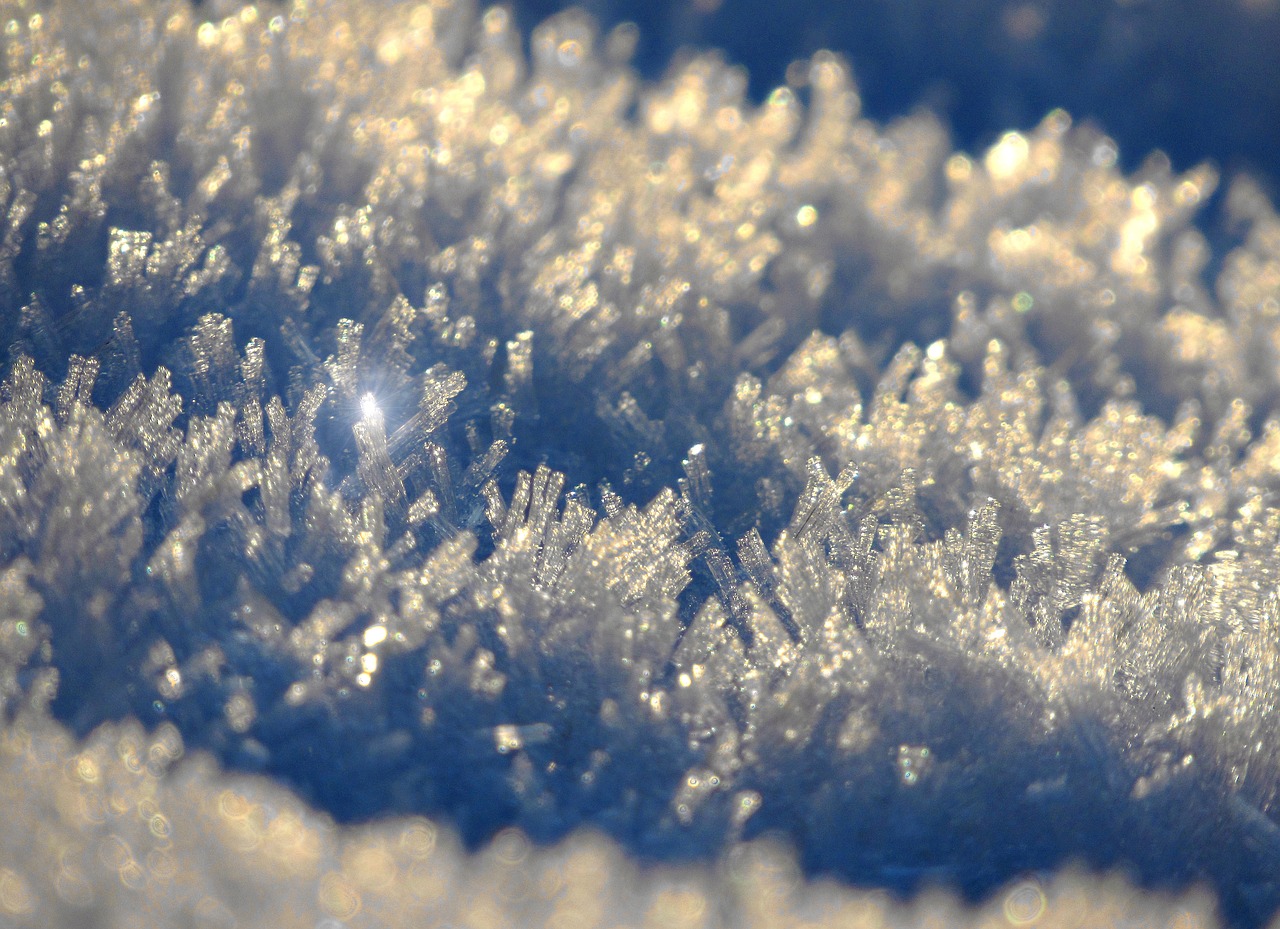 snow  crystals  winter free photo