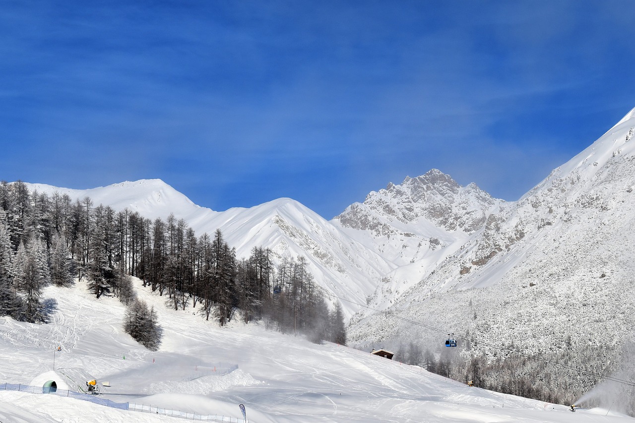 snow  landscape  winter free photo