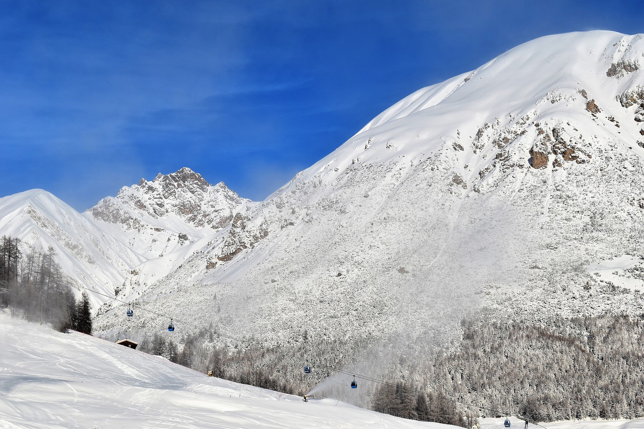 snow  landscape  winter free photo