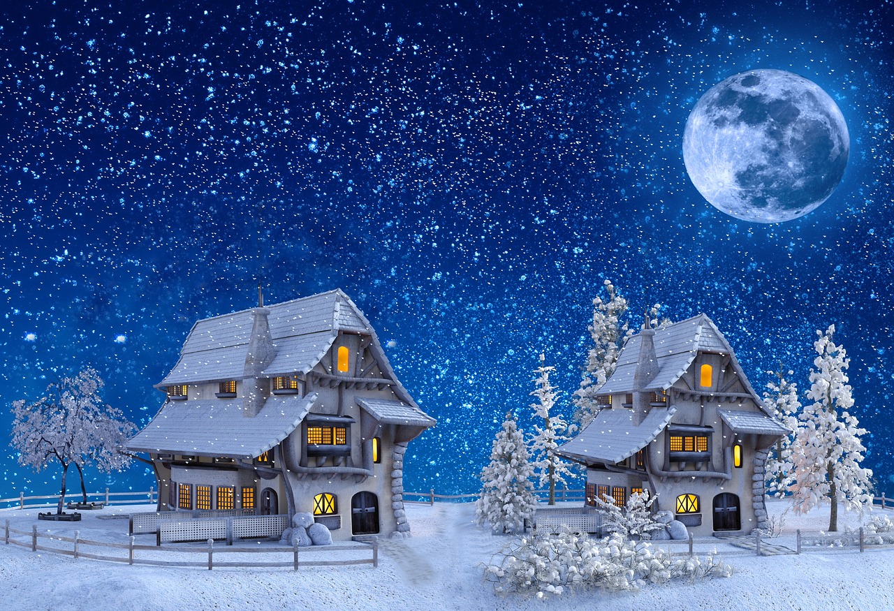 snow  moon  winter free photo