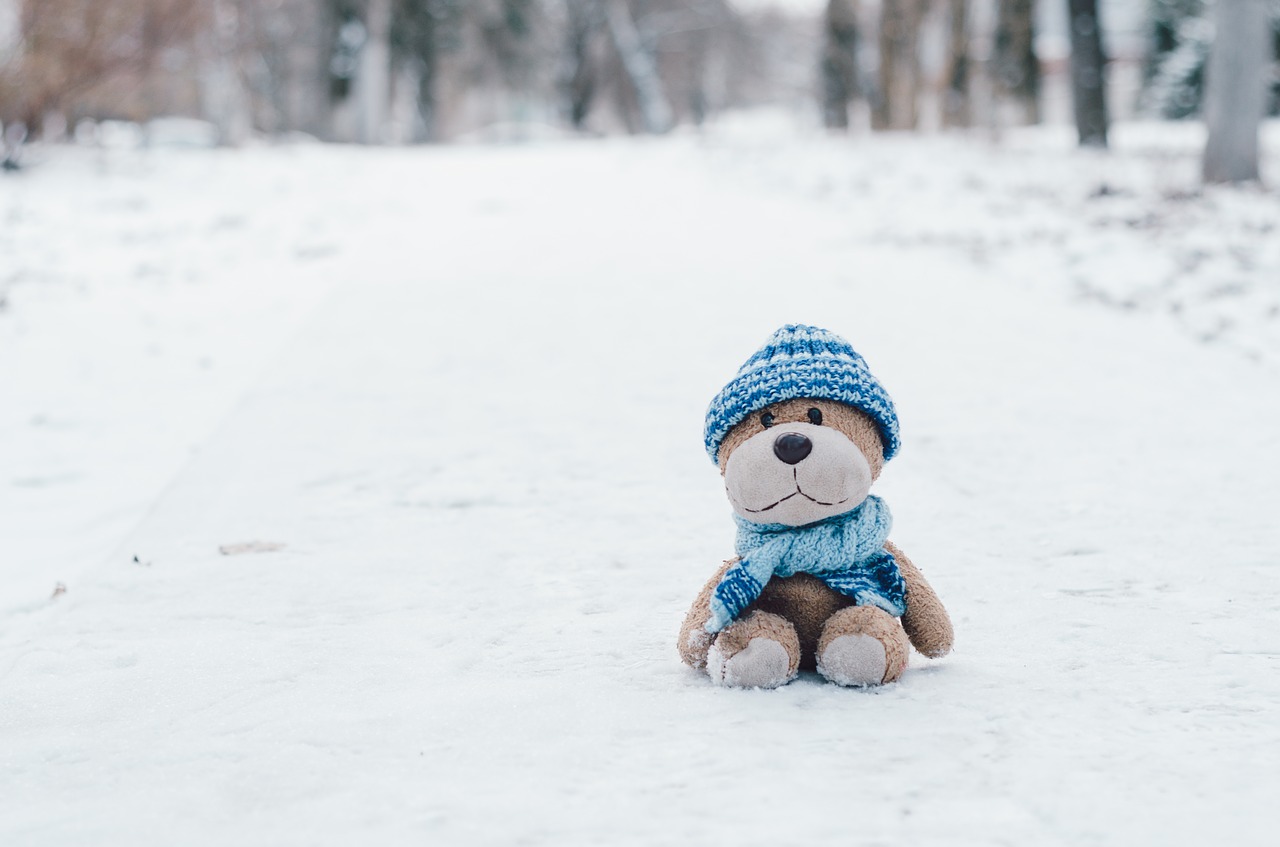 snow  winter  teddy bear free photo