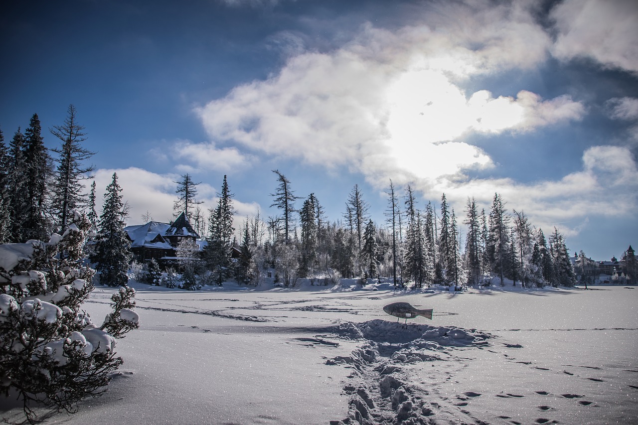 snow  lake  winter free photo