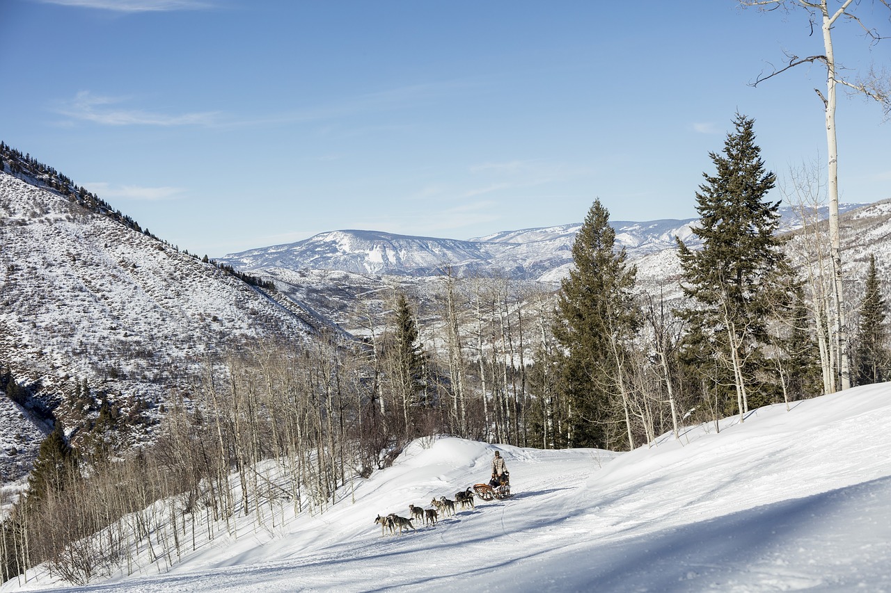 snow  winter  landscape free photo