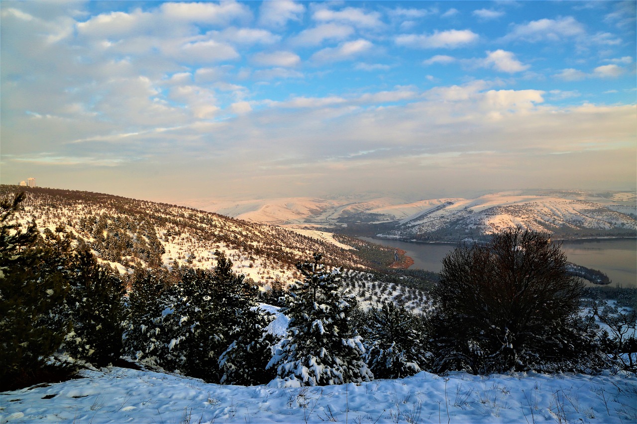 snow  winter  landscape free photo