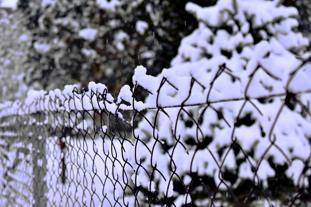 snow  fence  winter free photo