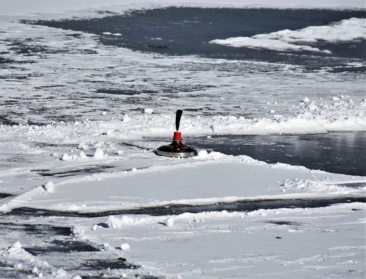 snow  curling  cold free photo