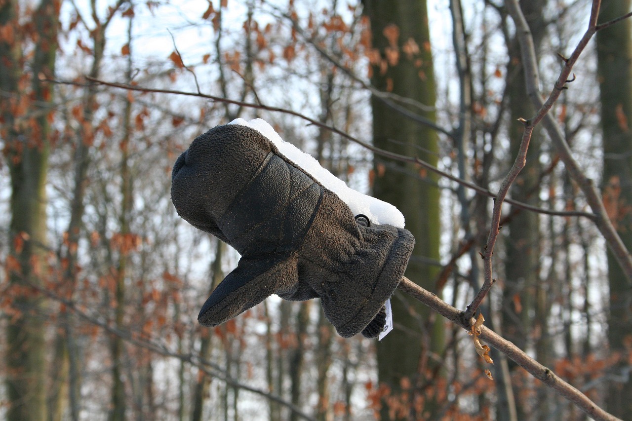 snow  winter  glove free photo