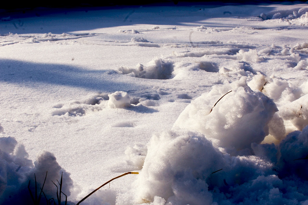 snow  blue  landscape free photo