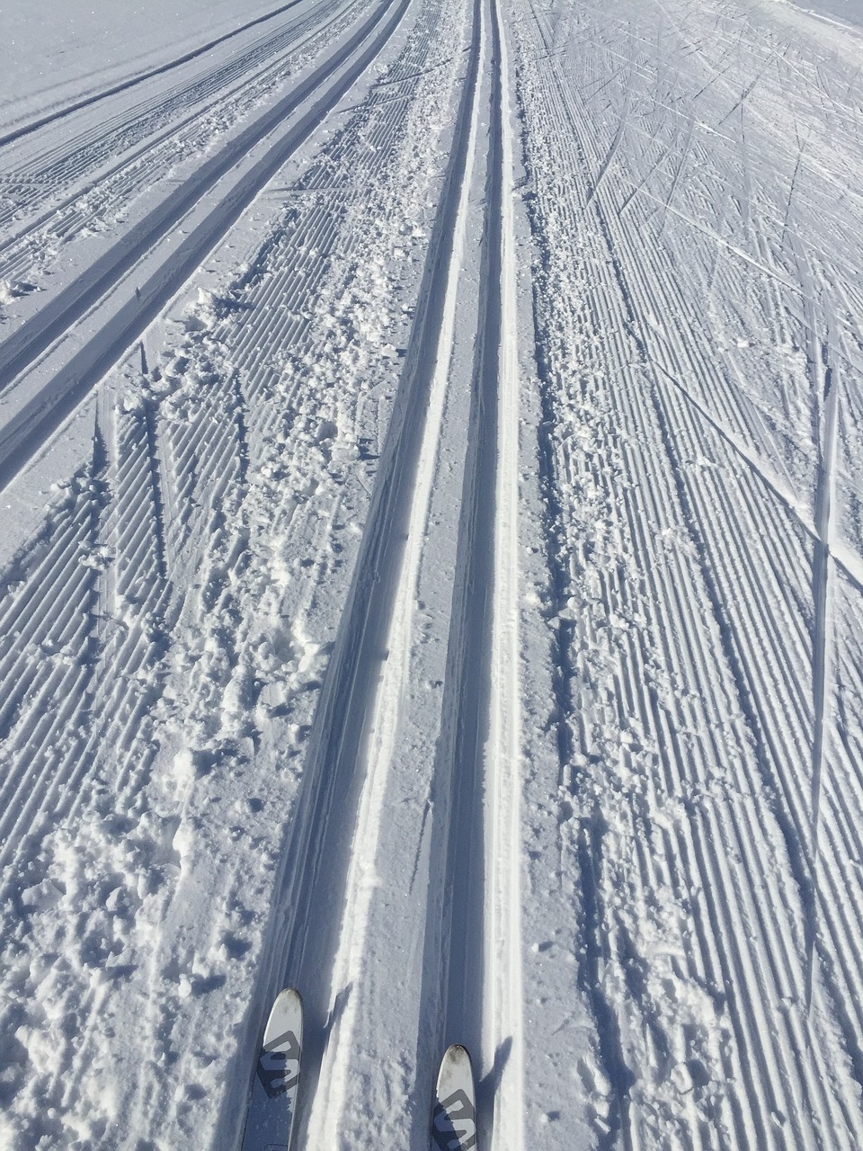 snow  trail  cross country skiing free photo