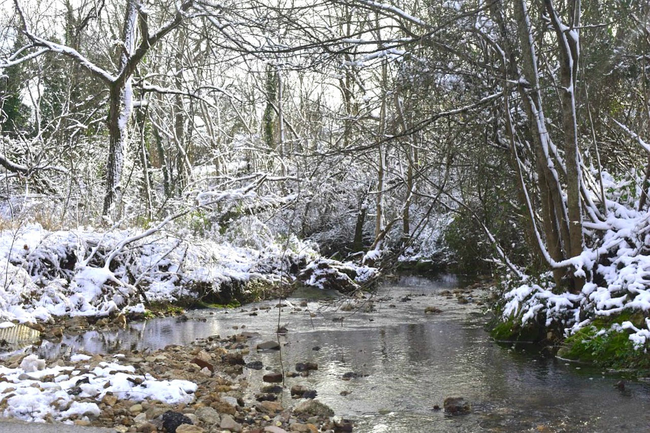 snow  creek  water free photo