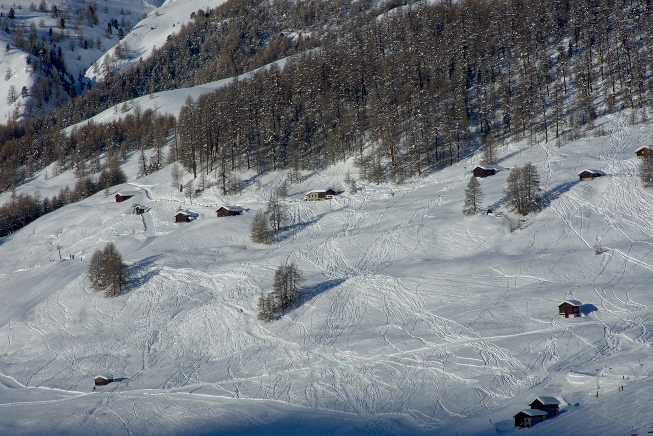 snow  mountain  livigno free photo