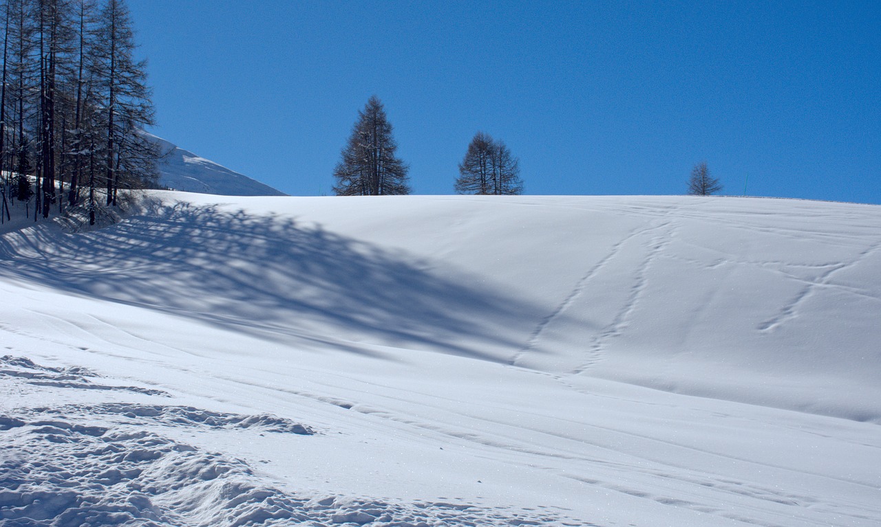 snow  mountain  livigno free photo