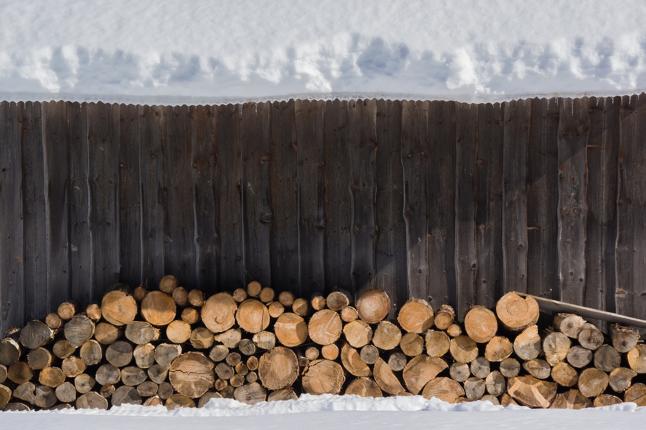 snow  wood  stack free photo