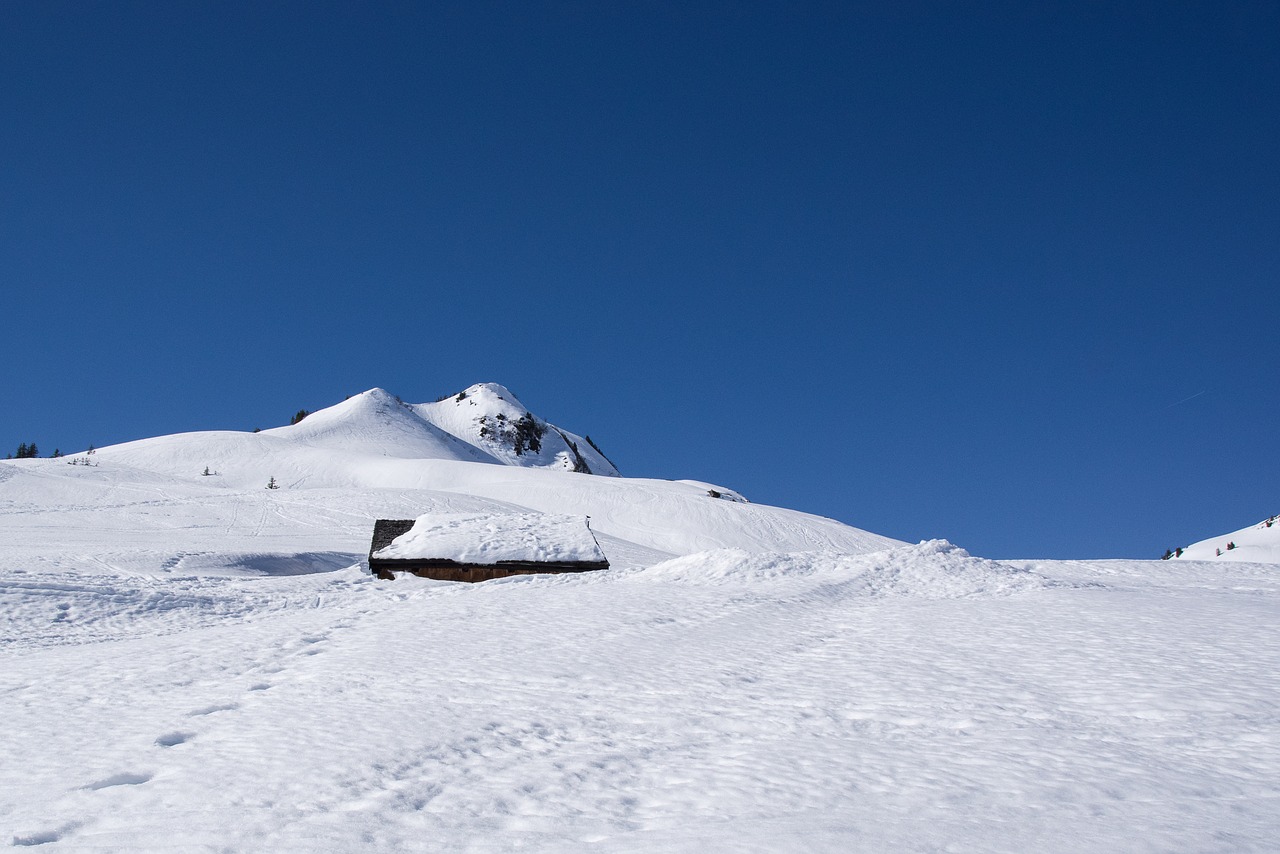 snow  skiing  winter free photo