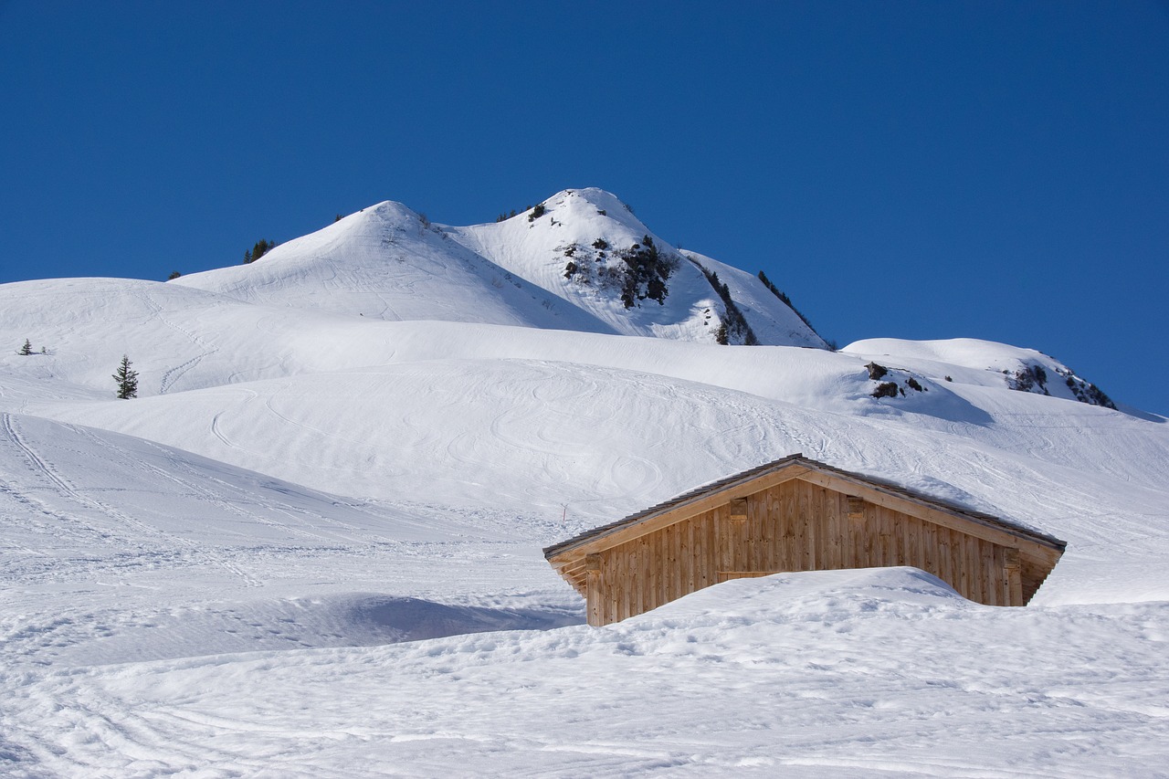 snow  skiing  winter free photo