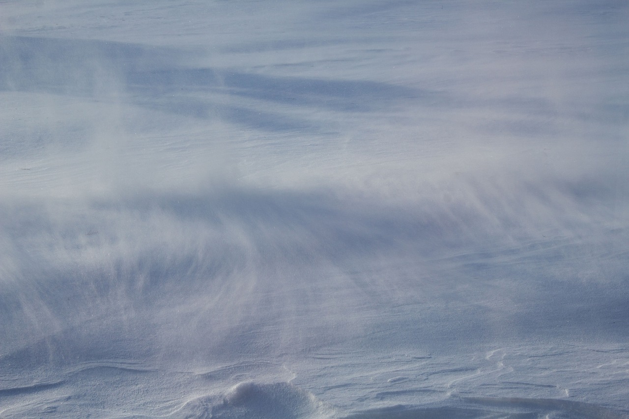 snow  blowing  drifting free photo