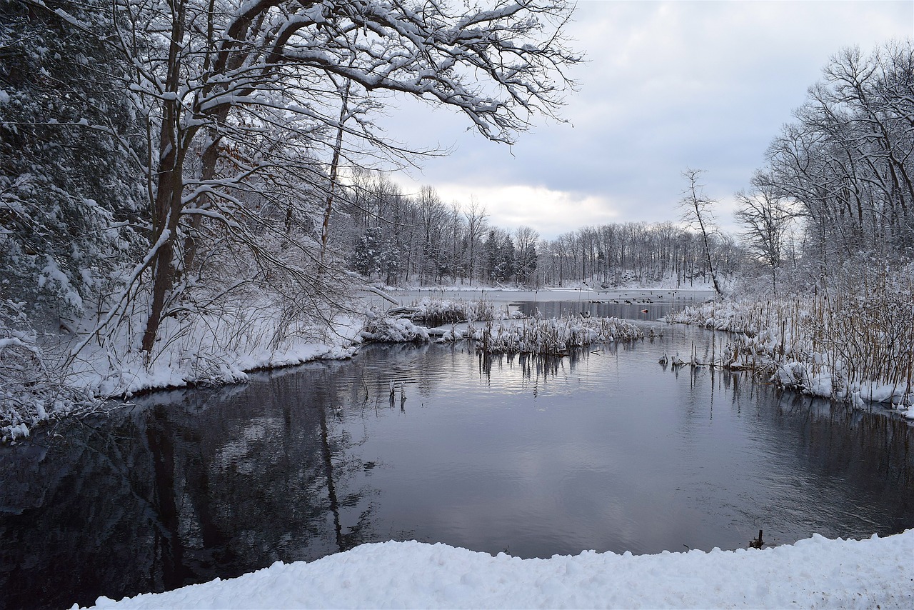 snow  winter  cold free photo