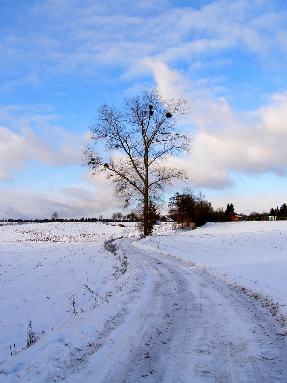 snow  landscape  village free photo