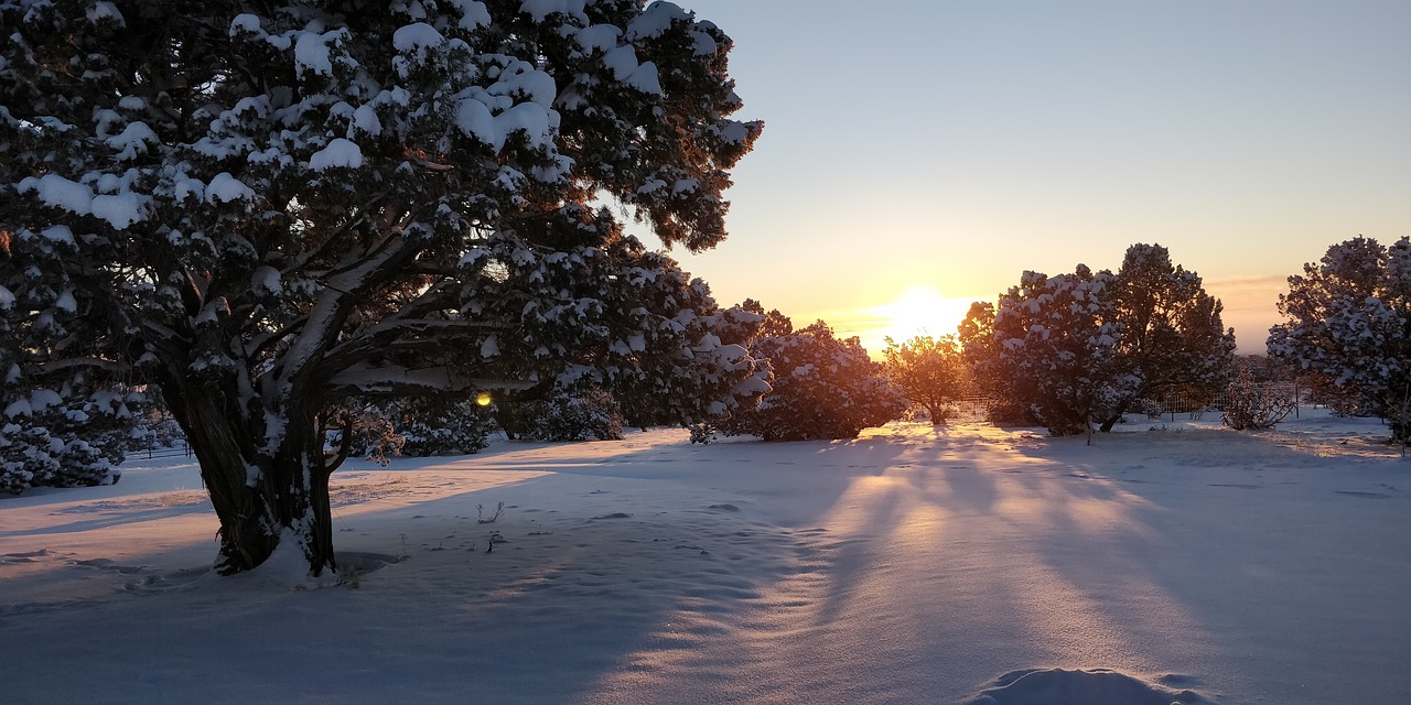 snow  winter  cold free photo