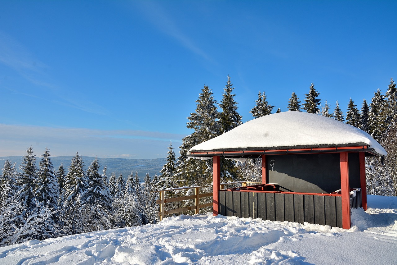 snow  house  tree free photo