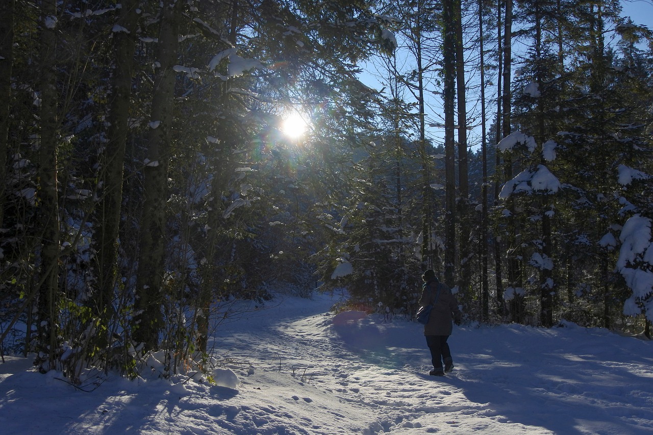 snow  cold  wintry free photo