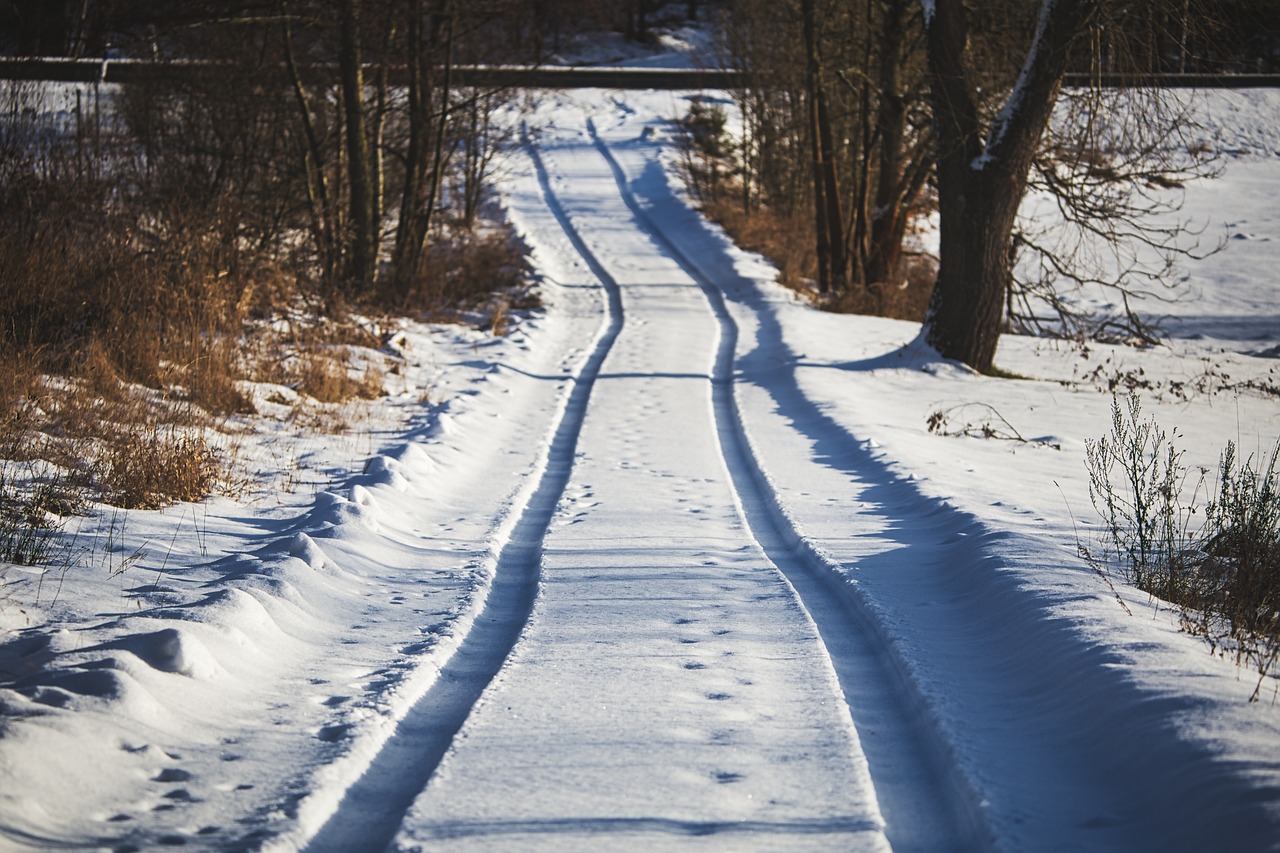 snow  traces  tire tracks free photo