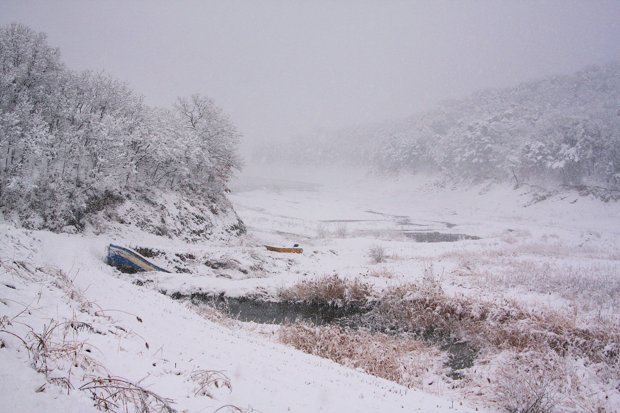 snow  landscape  atmosphere free photo