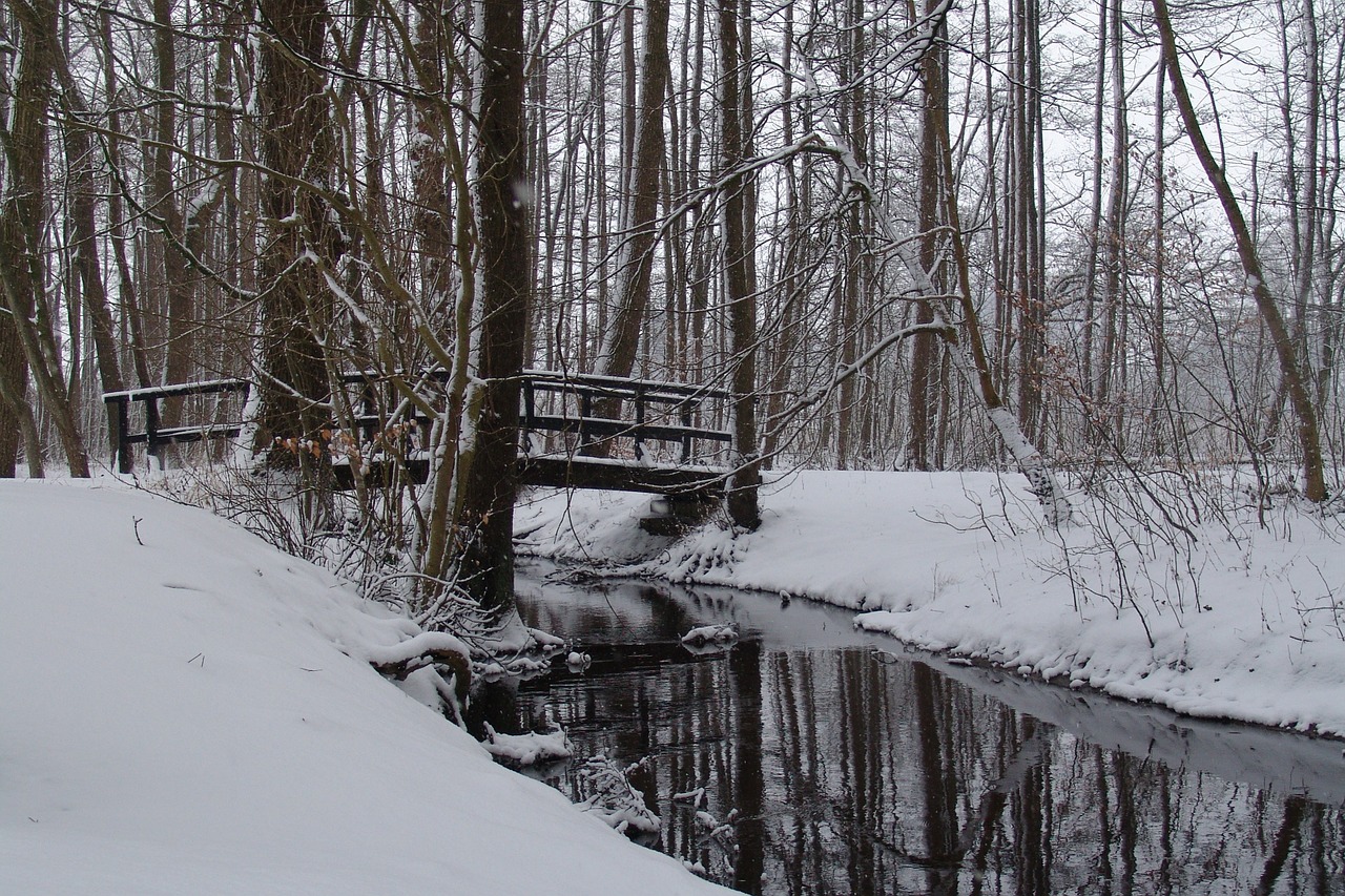 snow forest bridge free photo